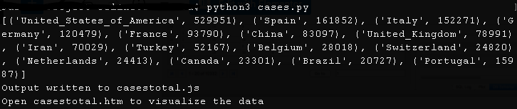 Covid-19 terminal output